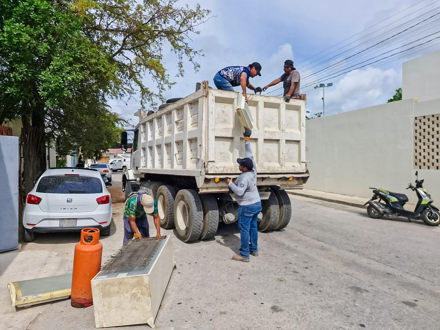 Combate frontal al dengue