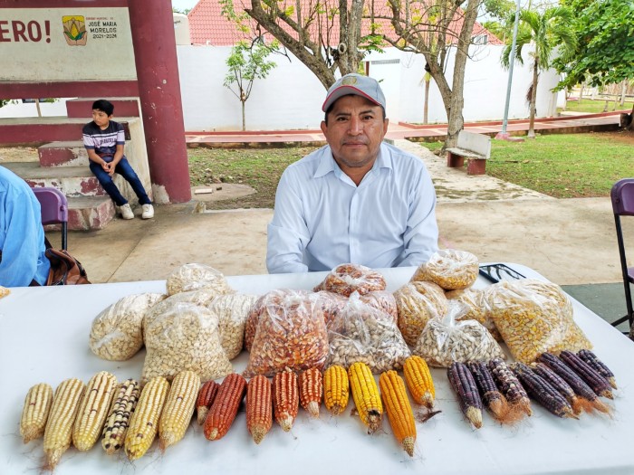 Urge preservar semillas nativas