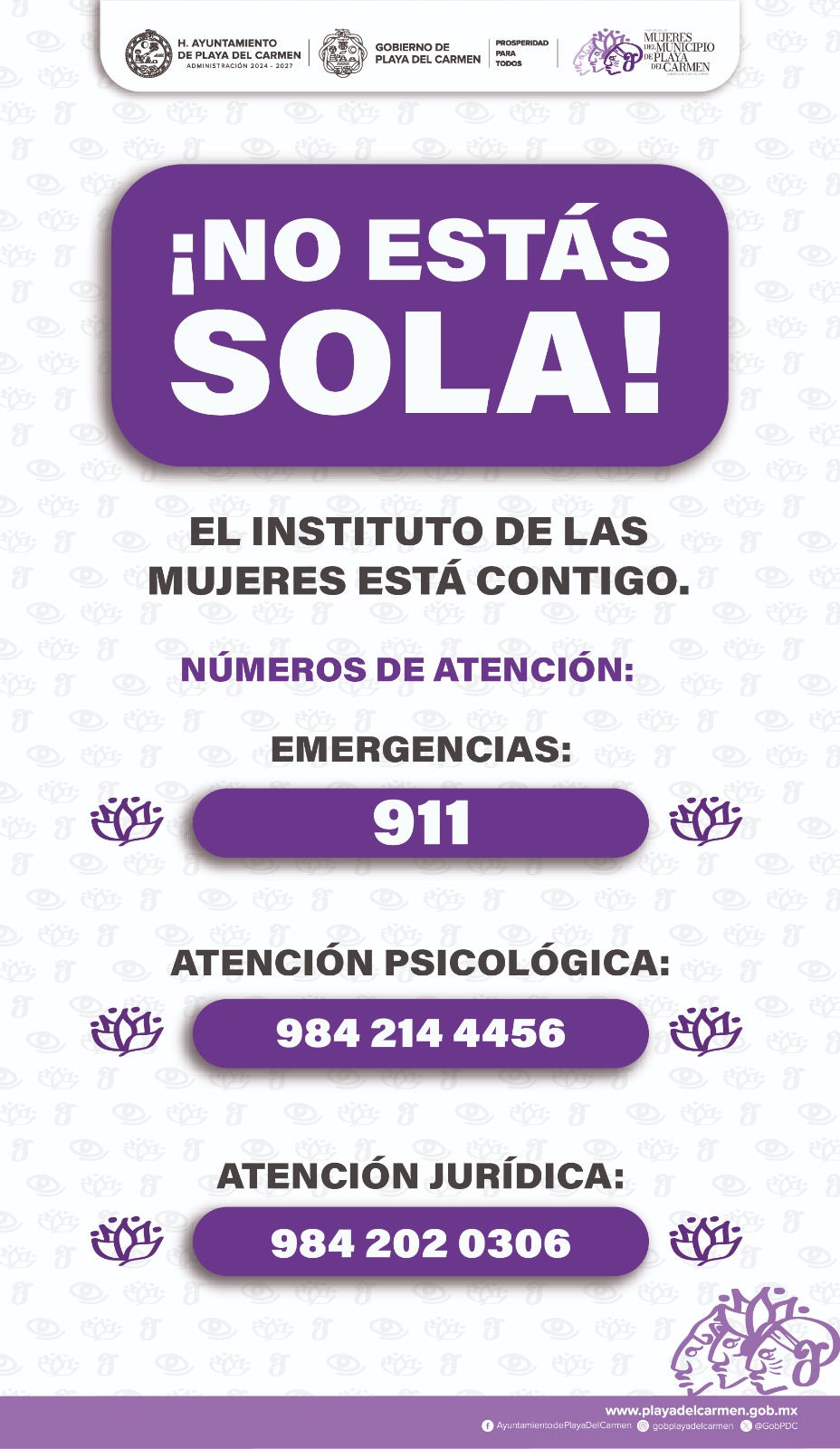 publididadd